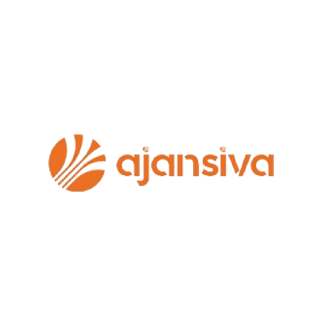 Ajansiva Sosyal Medya Danışmanı